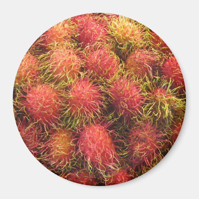 Rambutan Tropical Fruit Magnet (Framsidan)