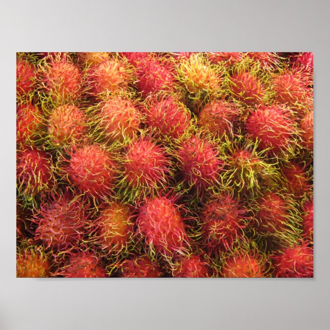 Rambutan Tropical Fruit Poster (Framsidan)