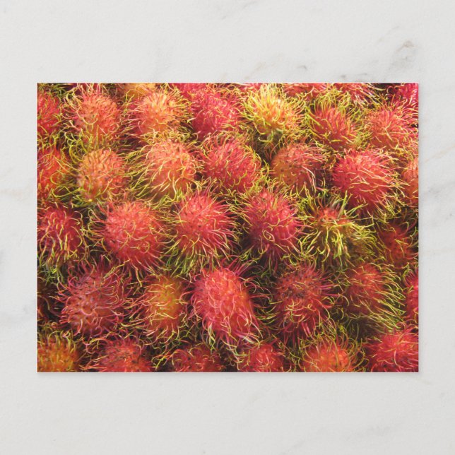 Rambutan Tropical Fruit Vykort (Framsida)