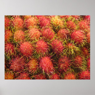 Rambutan Tropisk Frukt Poster