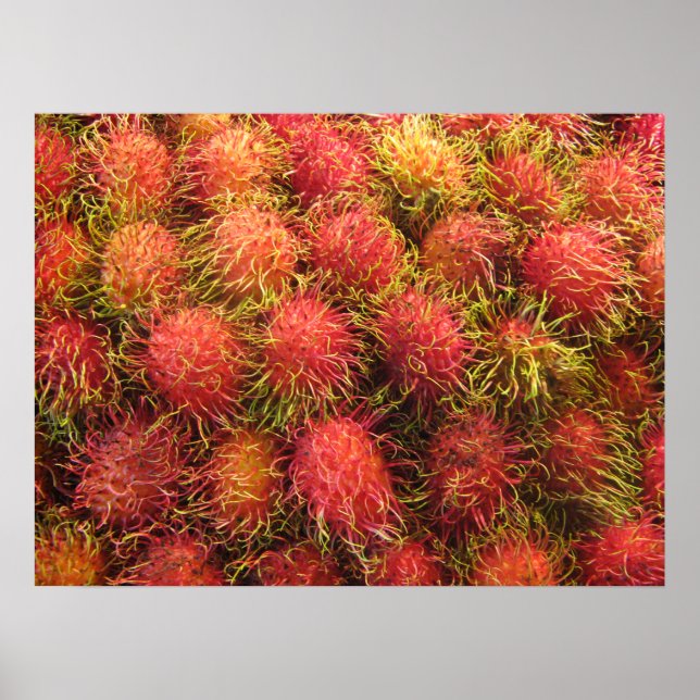 Rambutan Tropisk Frukt Poster (Framsidan)
