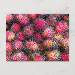 Rambutan vykort