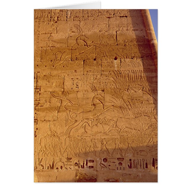 Ramesses III-jakttjurar av vild Hälsningskort (Framsidan)