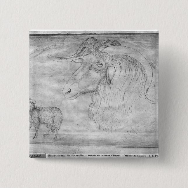 Ramma och huvudet av en ramma knapp (Framsida)