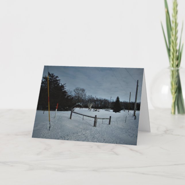 "Rampage in the Park" julkort Kort (Framsida)