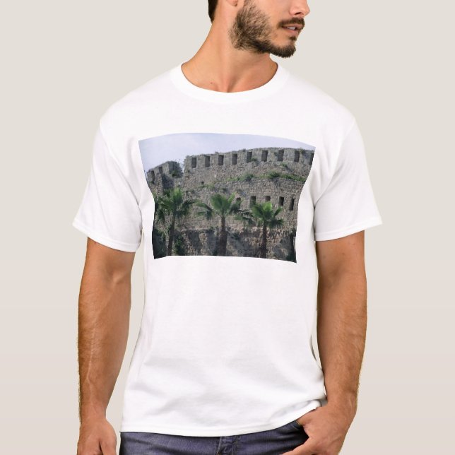 Ramparts från citadelen tee (Framsida)