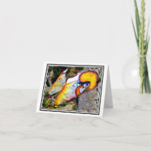 Rams! Sten Art nära Orgosolo, Sardinien