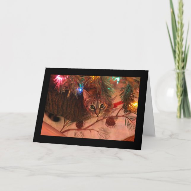 Ramskatte julgranskort kort (Framsida)