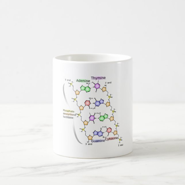 RÅNA diagrammet av det kemiskt strukturerar av DNA Kaffemugg (Center)