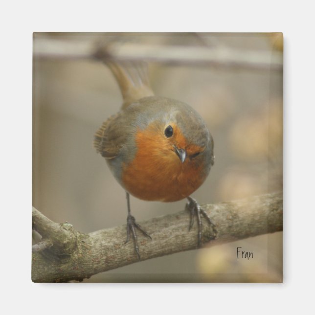 råna magnet (Framsidan)