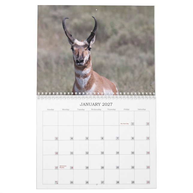 Ranch för 2012 brunnar kalender (Jan 2027)