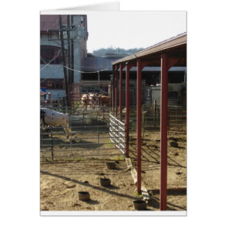 Ranch Hälsningskort