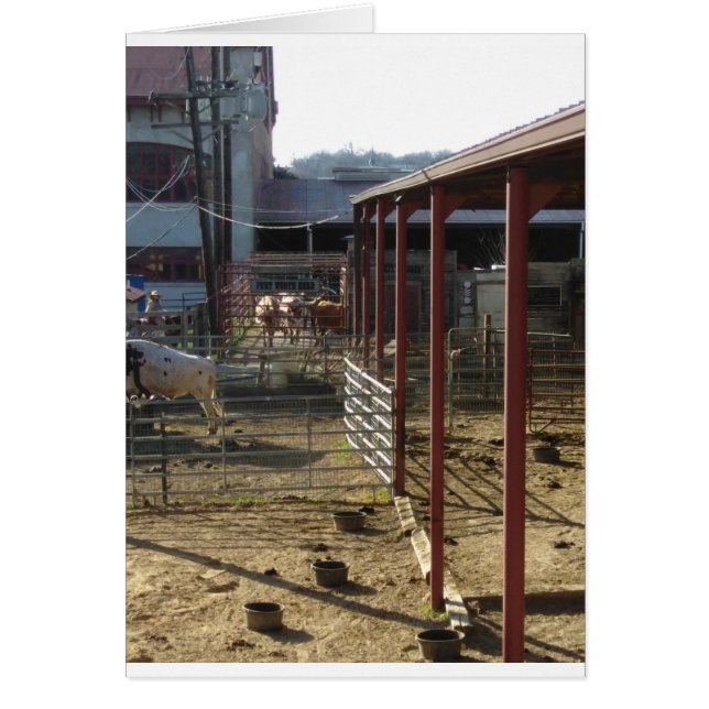 Ranch Hälsningskort (Framsidan)