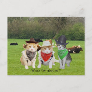 Ranch Hand - Arbetskatter Vykort