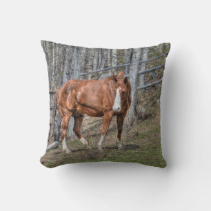 Ranch Horse Equine Photo Design for Animal-älskare Kudde