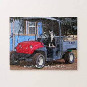Ranch-Hund, Redo Pussel