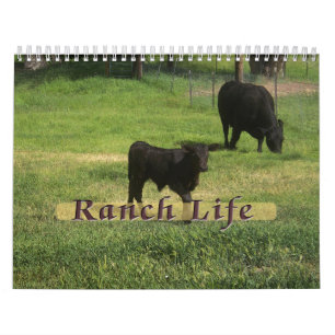 Ranch Life - Nötkreatur Kalender
