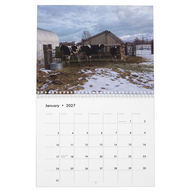 Ranch Life - Nötkreatur Kalender (Jan 2027)
