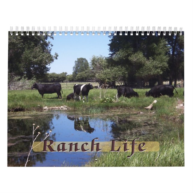 Ranch Life - Nötkreatur Kalender (Omslag)