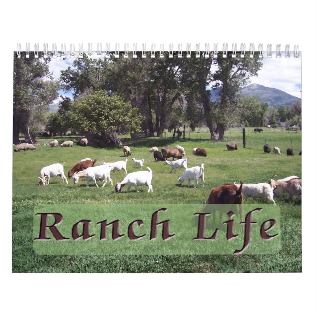 Ranch Life vid Blackman Ranch Kalender (Omslag)