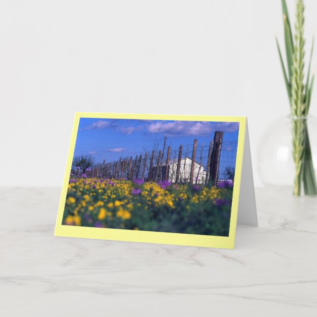 ’Ranch Vår’ Kort (Framsida)