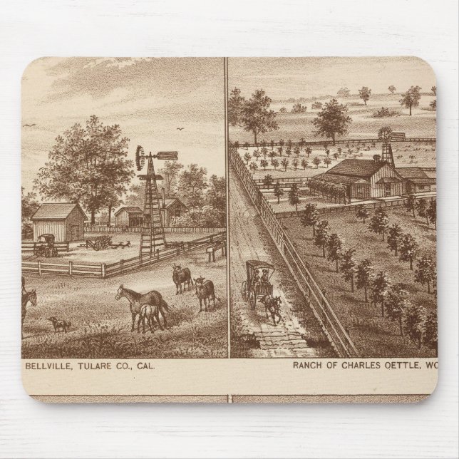 Ranches, stables, Tulare Co, Cal Musmatta (Framsidan)