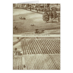 Ranches, Visalia, Tulare, Cal Hälsningskort