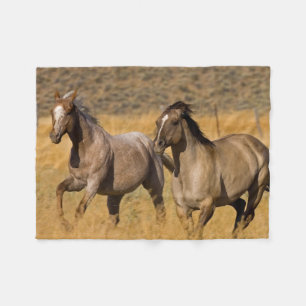 Ranchliv vid The Ponderosa Ranch Fleecefilt