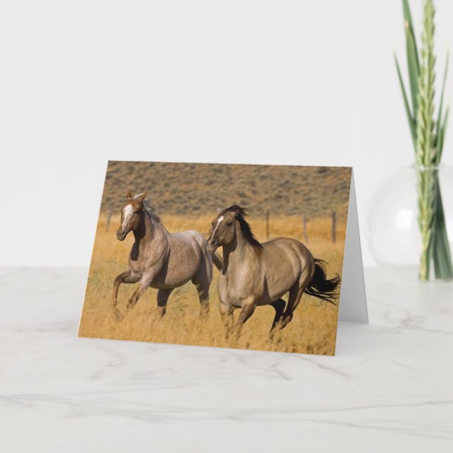 Ranchliv vid The Ponderosa Ranch Kort (Framsida)