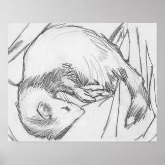 "Rand" Ferret Teckning Poster