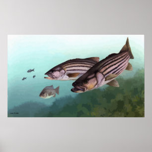 Randig bas undertecknad målning poster