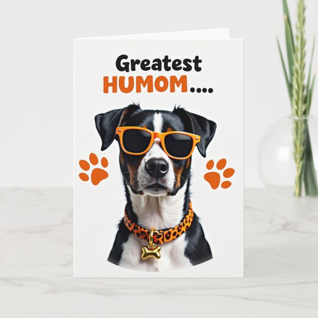 Randig Cool Canine Kort (Framsida)