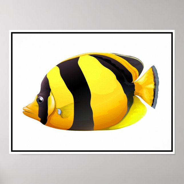 Randig fisk Poster (Framsidan)