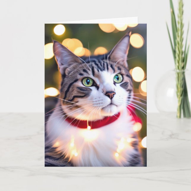 Randig katt i hösljus helgkort (Framsida)