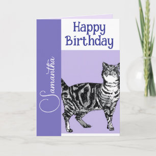 Randig katt Katter Lila Husdjur Flickor Namn Födel Kort