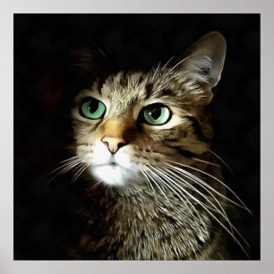 Randig katt med gröna ögon isolerad på svart poster