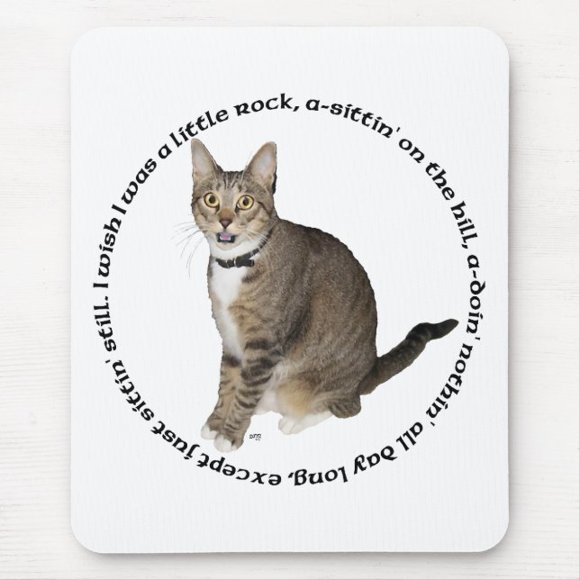 Randig katt önskar musmatta (Framsidan)