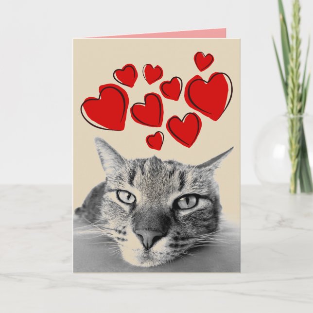 RANDIG KATT VALENTINSDAGSKORT HELGKORT (Framsida)