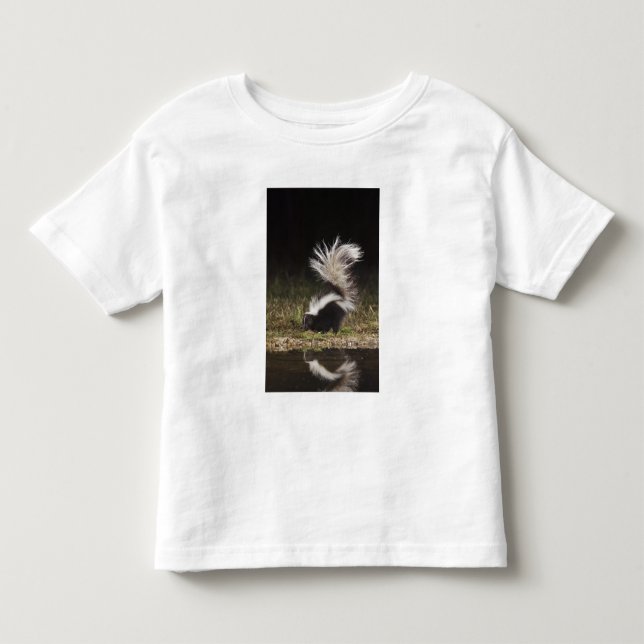 Randig skunk, Mephitis mephitis Tee (Framsida)