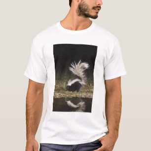 Randig skunk, Mephitis mephitis Tröja