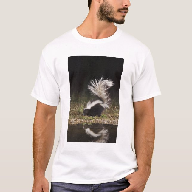 Randig skunk, Mephitis mephitis Tröja (Framsida)