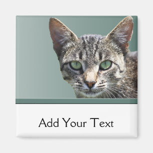 Randig Tabby med gröna ögon Magnet
