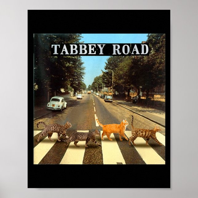Randig väg Coola randiga katter korsar  Poster (Framsidan)