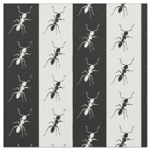 Randiga myror som är svartvita