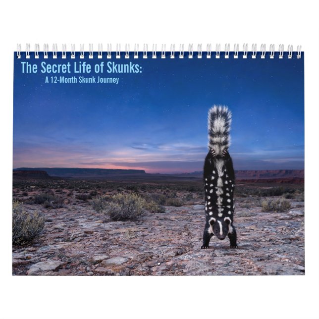Randiga och Fläckiga Skunkar Kalender (Omslag)