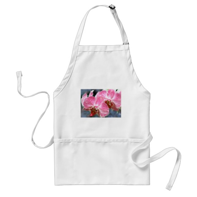 Randiga rosa PhalaenopsisOrchids Förkläde (Framsidan)