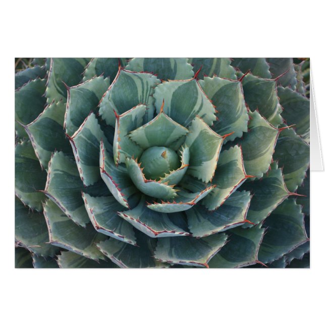 Randigt agavekort hälsningskort (Framsidan Horizontal)