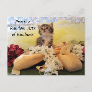 Random Act of Kindes Postcard - Ballerina Cat Vykort