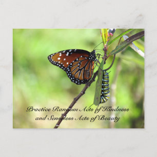 Random Act of Kindes Postcard - Queen Butterfly Vykort
