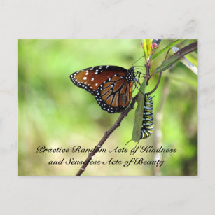 Random Act of Kindness Postcard - Queen Butterfly Vykort